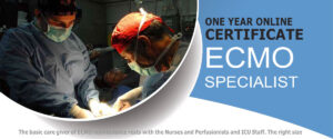 ONE YEAR ONLINE CERTIFICATE ECMO SPECIALIST